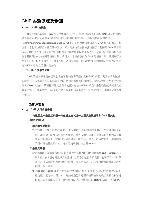 chip原理