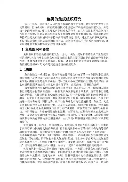 鱼类的免疫组织研究