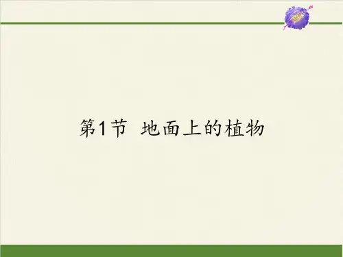 苏科版初中生物七年级下册课件-5.11.1 地面上的植物14