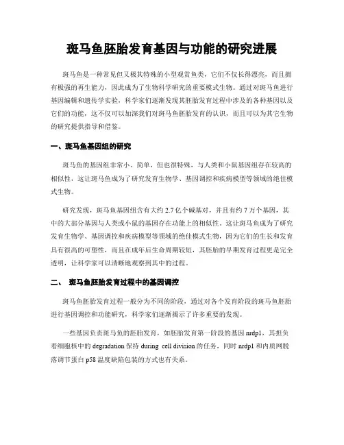 斑马鱼胚胎发育基因与功能的研究进展