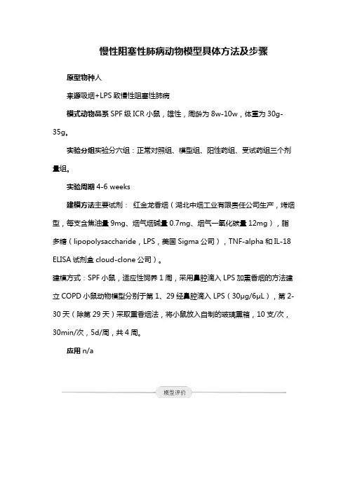 慢性阻塞性肺病动物模型具体方法及步骤