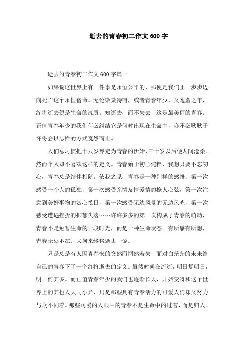 逝去的青春初二作文600字