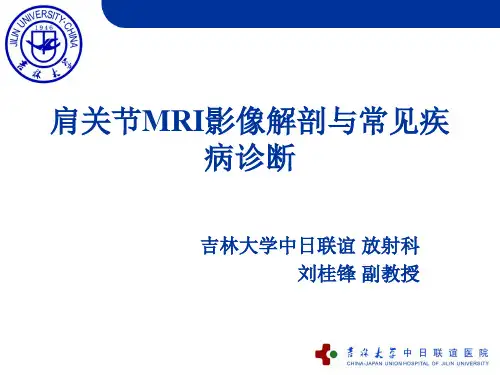 肩关节MRI影像解剖与常见疾病诊断