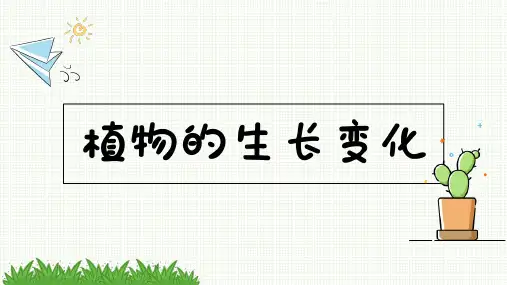教科版四下科学课件1.1种子里孕育着新生命