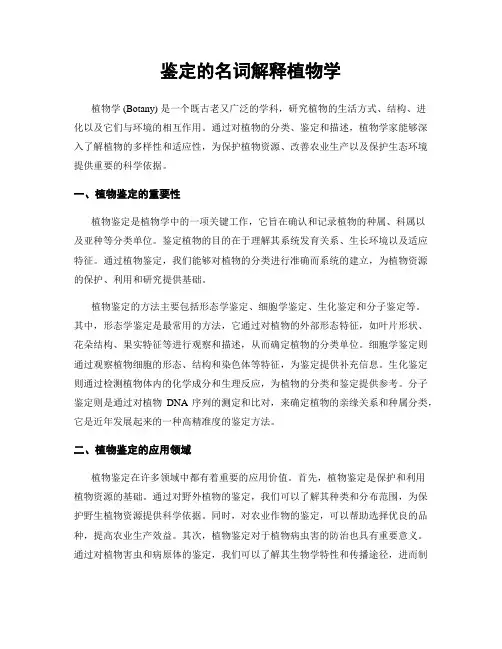 鉴定的名词解释植物学