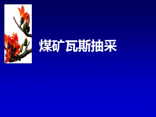 《煤矿瓦斯抽采》PPT课件