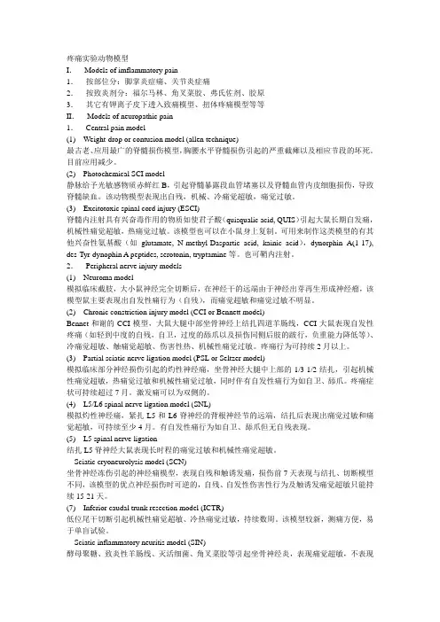 疼痛实验动物模型