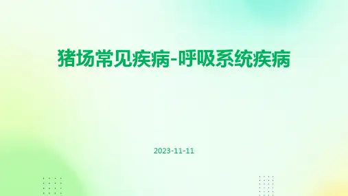 猪场常见疾病呼吸系统疾病