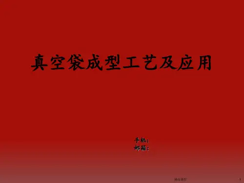 真空导入成型工艺工艺流程ppt课件