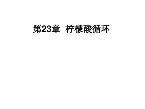 TCA循环