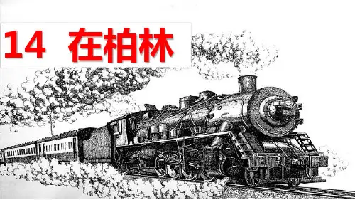 《在柏林》教学课件