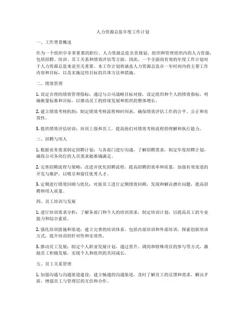 人力资源总监年度工作计划