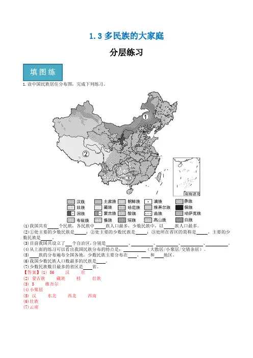 1.3多民族的大家庭(分层练习)-2023-2024学年八年级地理上册(商务星球版)