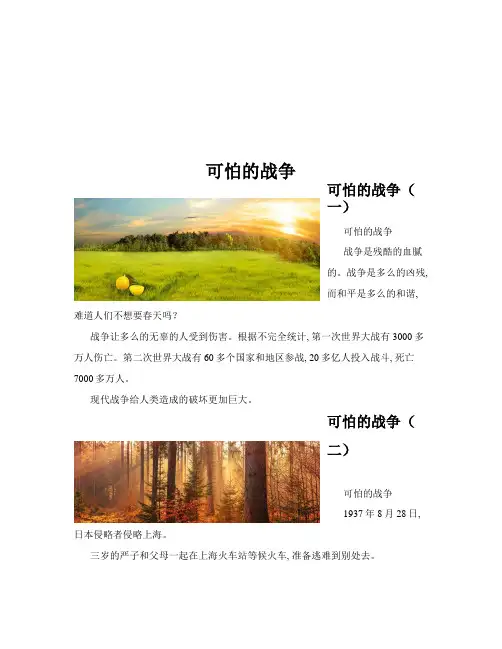 可怕的战争(共10篇)
