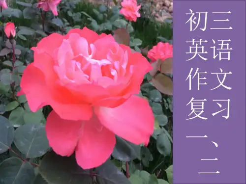 初三英语作文复习PPT