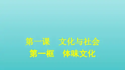 高中政治第一单元文化与生活第一课第一框体味文化课件新人教版必修