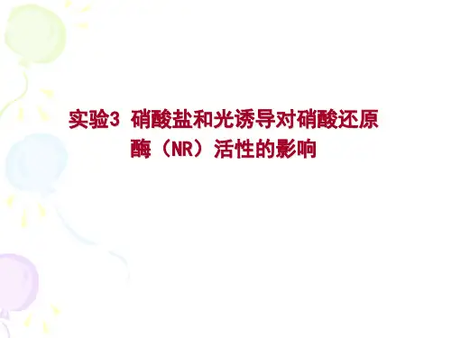 实验三 硝酸还原酶活性测定