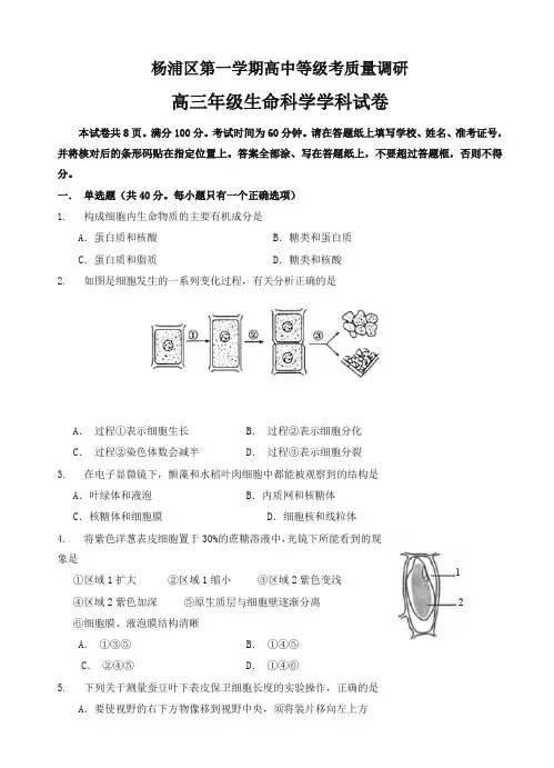 上海市杨浦区高三上学期期末考质量调研(一模)生命科学试卷(有答案)优质版