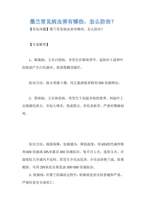 墨兰常见病虫害有哪些,怎么防治？