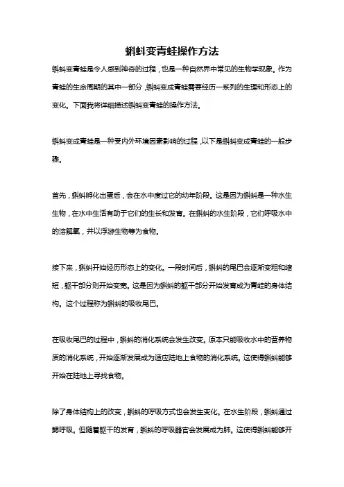 蝌蚪变青蛙操作方法