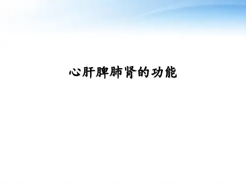 心肝脾肺肾的功能  ppt课件