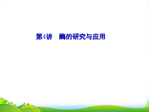 高三生物专题复习 酶的研究与应用课件