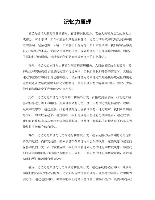记忆力原理