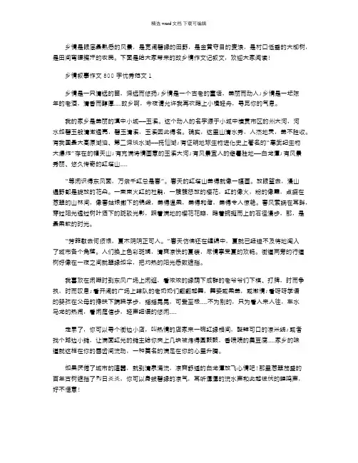2021年乡情叙事作文800字优秀文档