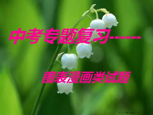 中考语文专题复习：图表题漫画徽标(共28张PPT)