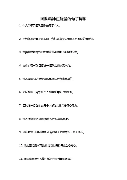 团队精神正能量的句子词语