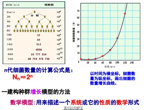 根据种群增长的S型曲线PPT课件