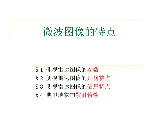 SAR图像的特征