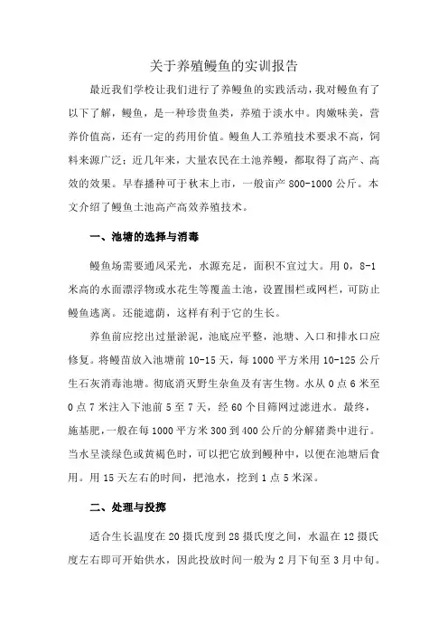 关于养殖鳗鱼的实训报告