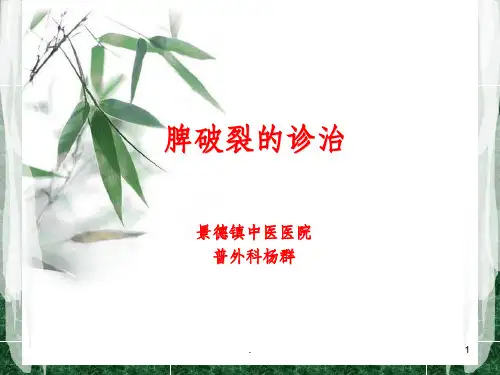 脾破裂的诊治ppt课件