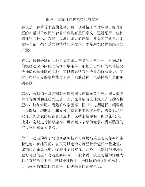 豌豆产量提升的种植技巧与技术