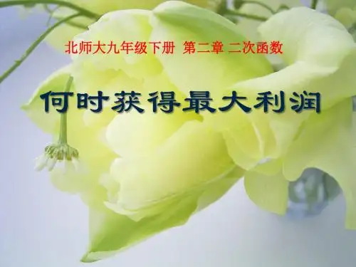 《何时获得最大利润》二次函数PPT课件(上课用)3