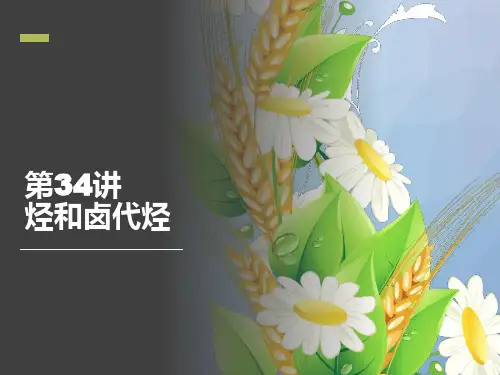 高三化学一轮复习精品课件6：烃和卤代烃
