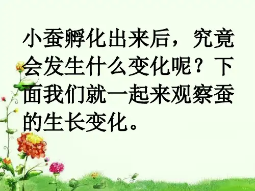 蚕的生长变化PPT.ppt