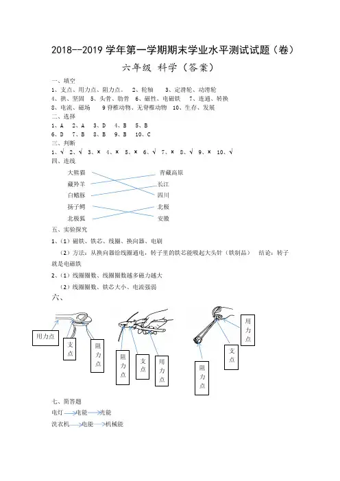 2018-2019学年第一学期期末学业水平测试试题(卷)答案