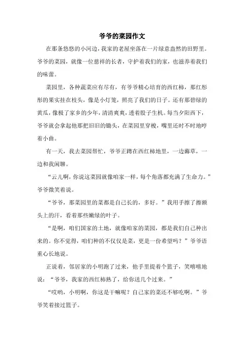 爷爷的菜园作文精选10篇
