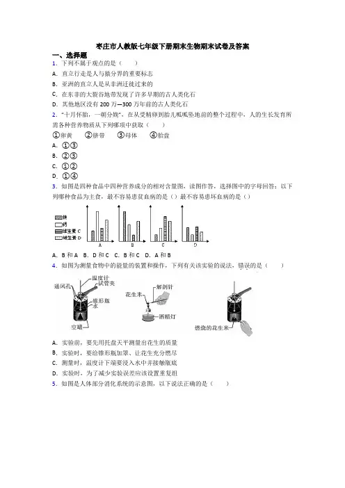 枣庄市人教版七年级下册期末生物期末试卷及答案