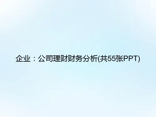 企业：公司理财财务分析(共55张PPT)