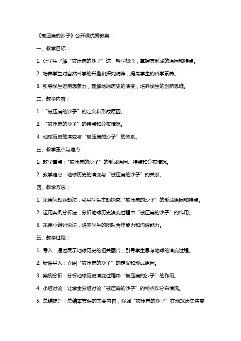 《被压扁的沙子》公开课教案