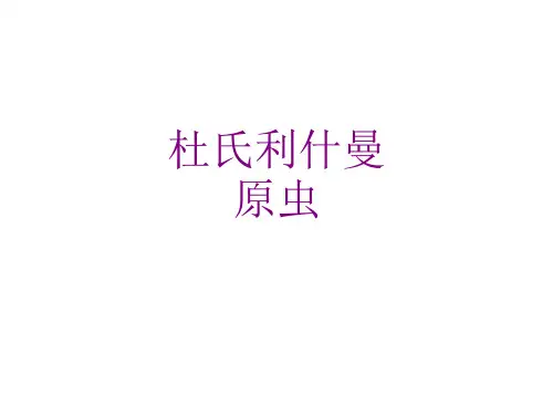 杜氏利什曼原虫优质PPT课件