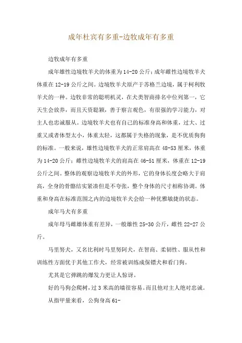 成年杜宾有多重-边牧成年有多重