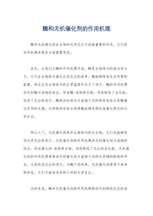 酶和无机催化剂的作用机理