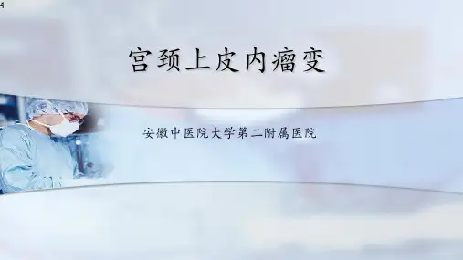 宫颈上皮内瘤变ppt课件