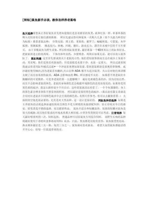 鼠鱼
