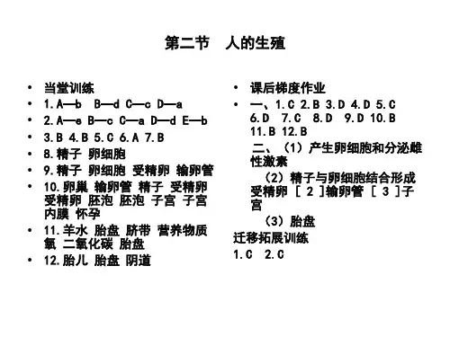 生物基础训练答案