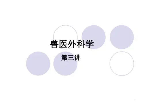 兽医外科学第三讲感染及损伤